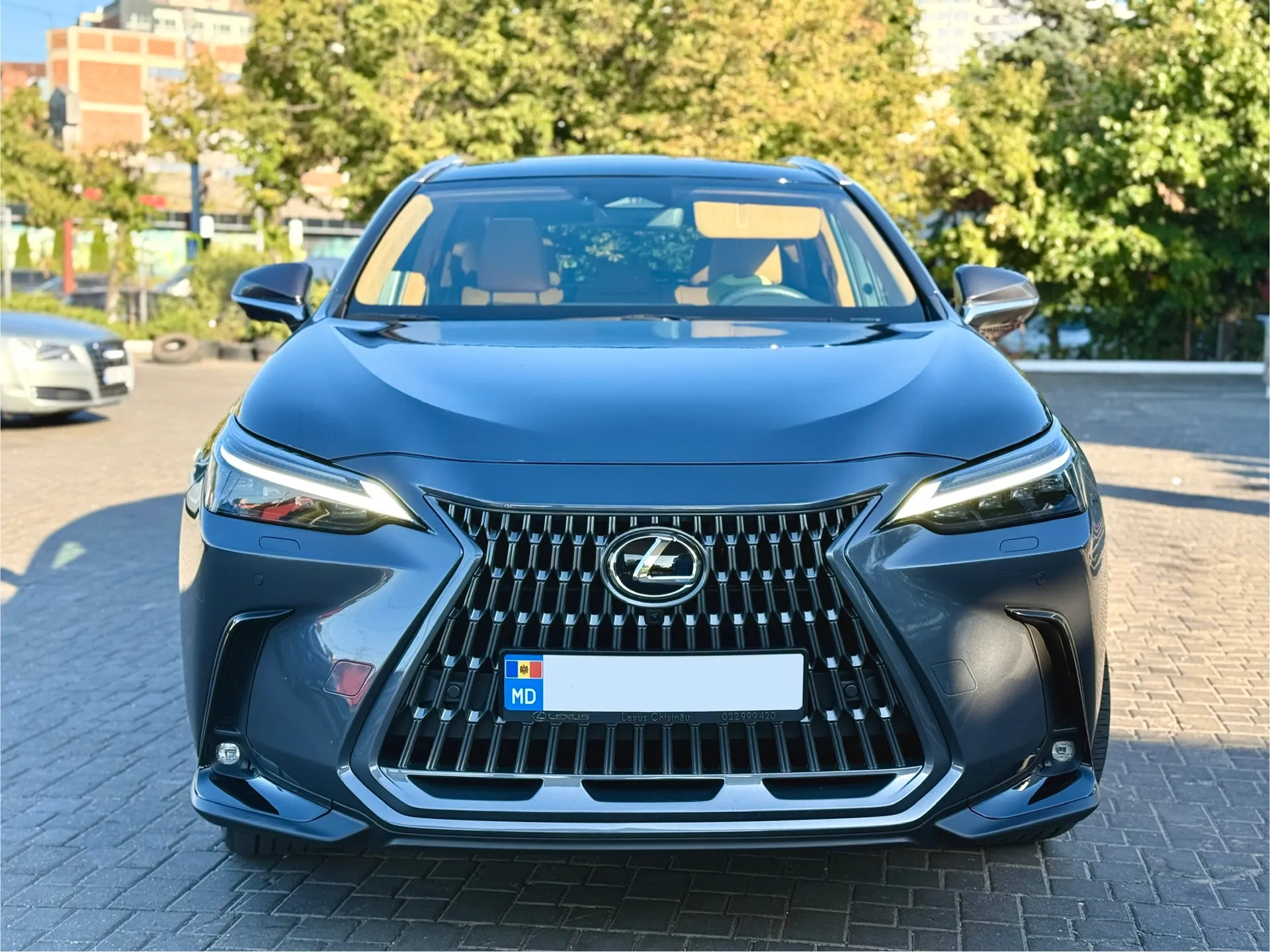 Lexus NX Series 2023